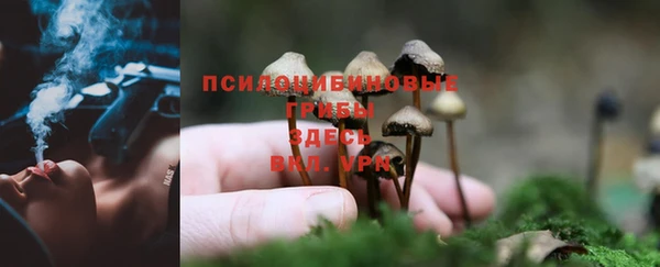 MDMA Premium VHQ Липки